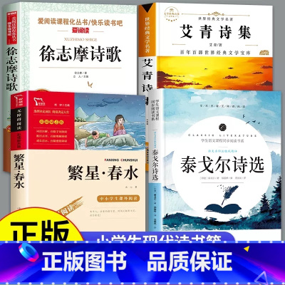 [4本]小学生现代诗歌精选 [正版]冰心儿童文学全集繁星春水小橘灯寄小读者原着三部曲必读小学生三四五六年级课外阅读书籍上