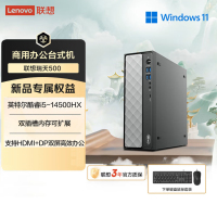 联想(Lenovo)瑞天500 台式电脑主机 (I5-14500HX 16G 1T SSD Win11)商用办公学习娱乐