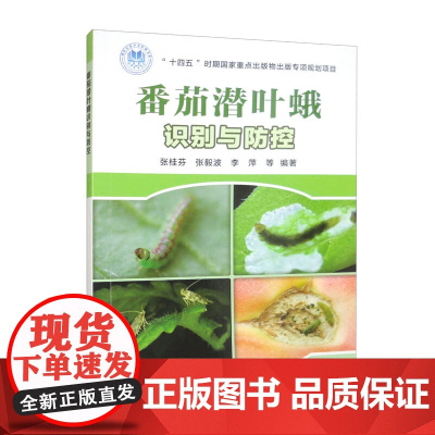 番茄潜叶蛾识别与防控 张桂芬 张毅波 李萍主编 中国农业科学技术出版社9787511665188