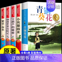 [5册]青铜+宝葫芦+雨来+细菌+繁星 [正版]全套4册 青铜葵花曹文轩小英雄雨来管桦与葫芦的秘密张天翼四年级下册阅读课