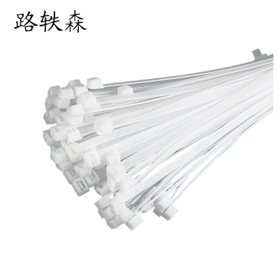 路轶森 尼龙扎带 8*300mm 根