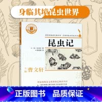 [正版]快乐读书吧阅读八年级上册昆虫记名著阅读力养成丛书曹文轩主编阅读科普图书儿童文学浙江文艺出版