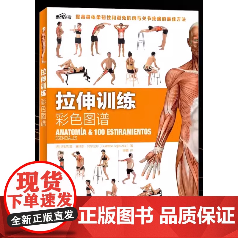 拉伸训练彩色图谱 100种拉伸练习 远离肌肉损伤 快速有效改善身体柔韧性 肌肉健美训练图解拉伸训练书籍 健身书籍练肌肉