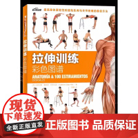 拉伸训练彩色图谱 100种拉伸练习 远离肌肉损伤 快速有效改善身体柔韧性 肌肉健美训练图解拉伸训练书籍 健身书籍练肌肉