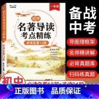 名著导读考点精练 初中通用 [正版]2024版初中名著导读考点精练必读中外名著12部七八九年级中考必考名著精讲细练一本通