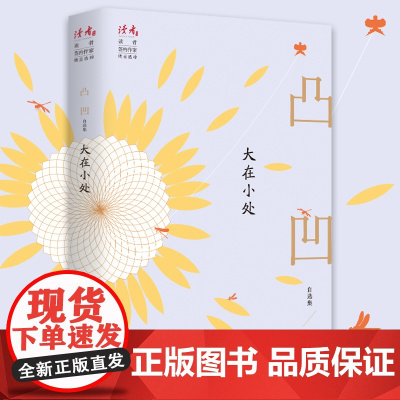 大在小处:凸凹自选集