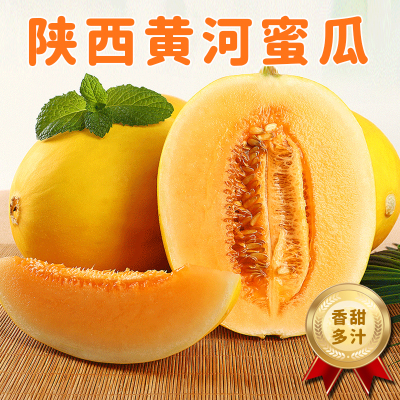 [熊猫鸟]新鲜黄河蜜瓜 净重1.7斤 1-2个 应季水果 新鲜甜瓜 鲜果