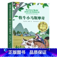 牧牛小马斯摩奇(单本) [正版]纽伯瑞国际儿童文学金奖小说系列全套10册中小学生三四五六年级学校课外书阅读经典读物儿童文