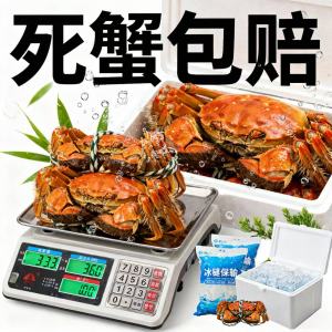 [活蟹]大闸蟹螃蟹4两公3两母10只装中秋礼盒 精品活蟹河蟹鲜活直发