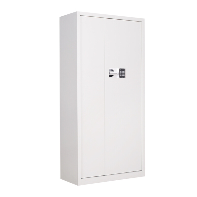 慧采云 办公家具优质钢制通门二斗国保锁保密柜办公柜铁皮柜收纳柜储物柜900*420*1850mm