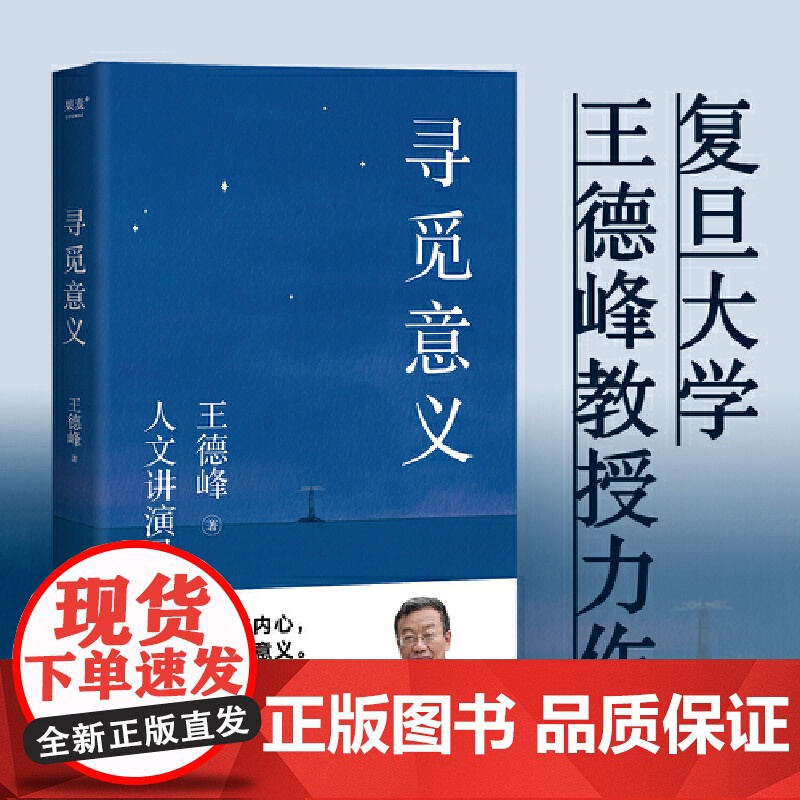 寻觅意义 复旦大学王德峰教授力作厘清现实的种种迷雾 找寻生活的意义,除了挣钱生活到底还有没有意义 山东文艺出版社