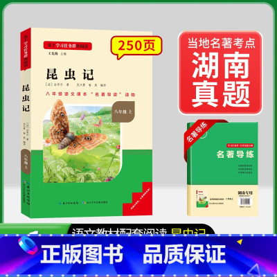 8年级上册[湖南专版 ]昆虫记 [正版]名校课堂经典常谈和钢铁是怎样练成的必读原著八年级下册阅读人民教育出版社人教版全套