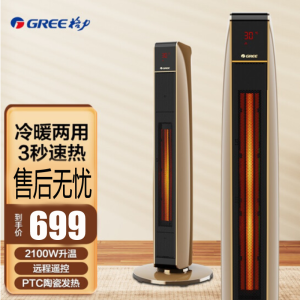 格力(GREE)暖风机家用取暖器冷暖两用大功率电暖器暖气机塔式电热风扇遥控制热NTFG-21B黑金色
