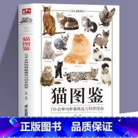 [正版]猫图鉴 179种纯种猫的特征习性 宠物猫图鉴 文字图解 高清鉴赏图片 自然科普爱好者的专业工具书 动物科普 养