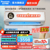 松下25年款大1匹100倍纳诺怡净化除菌 新一级能效直流变频冷暖自清洁一键睡眠壁挂式空调挂机洵风三代DG26K410Q
