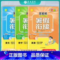 [3本套]五升六 语数英 人教版 五升六 [正版]2024新版实验班提优训练暑假衔接版语文数学英语五升六年级人教版 小学