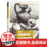 经典全集 素描静物②组合铅笔美术绘画书籍 临摹范本陈顶技法
