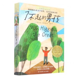 [N]了不起的男孩/长青藤国际大奖小说书系-9787571514914