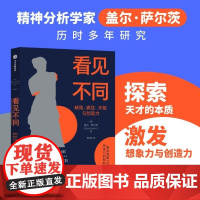 看见不同 盖尔 萨尔茨 中信出版集团