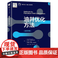 店 油井优化方法 油井优化数字孪生技术基本概念 数学模型优化方法数据挖掘技术应用书籍 电子工业出版社