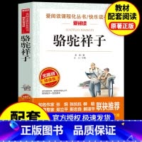 [配套人教版]骆驼祥子 [正版]骆驼祥子和钢铁是怎样炼成的原著完整版七年级必读名著老舍初一下册课外书初中课外阅读书籍7下