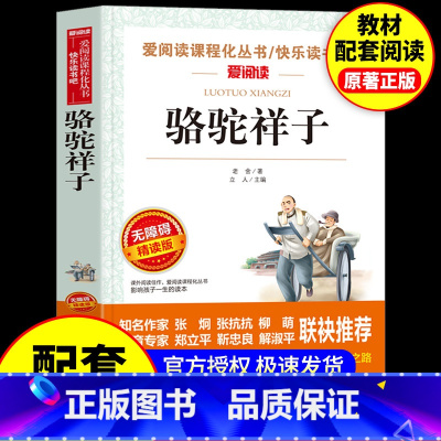 [配套人教版]骆驼祥子 [正版]骆驼祥子和钢铁是怎样炼成的原著完整版七年级必读名著老舍初一下册课外书初中课外阅读书籍7下