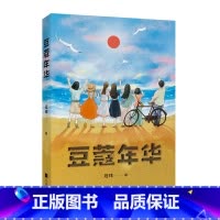 [正版]豆蔻年华 程玮 青春故事 电影《豆蔻年华》原著小说 中文分级阅读八年级课外阅读 青少年读物 出品