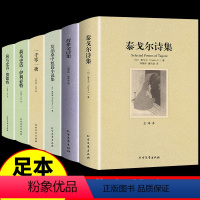 [全套5册]泰戈尔+普希金+莫泊桑+一千零一夜+荷马史诗 [正版]巴黎圣母院书雨果著 鲁滨逊漂流记原著无删减完整版节高中