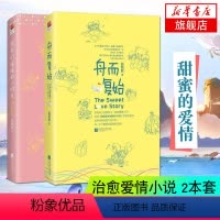 [正版]凤凰书店致我们暖暖的小时光+舟而复始 2册套装 赵乾乾爱情小说 言情小说青春校园 高甜宠文小说 青春文学