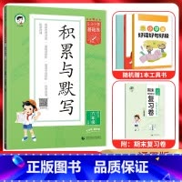 语文 六年级上 [正版]2024秋5.3小学基础练积累与默写六年级语文上册 人教通用版 53五三小学6年级上同步专项训练