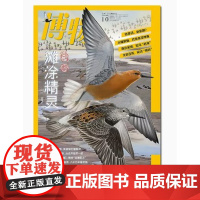 [鸻鹬][] 博物杂志2023年10月号 中国国家地理杂志青少版