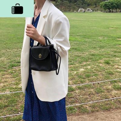 肥肥自制包包女2020新款韩国ins中古包网红小包手提斜挎包单肩包NEW LAKE女斜挎包