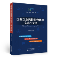 音像国有企业风控融合体系实践与案例孙友文
