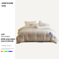 伊伊爱 全棉立体提花无染20大豆秋冬被