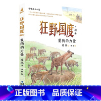 鬣狗的力量——狂野国度三部曲 [正版] 狂野国度三部曲全3册 狼国故事凌岚著雄狮的荣耀猎豹的抉择9-12岁小学生三四五六