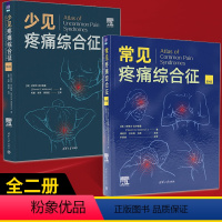 [正版]全2册常见疼痛综合征+少见疼痛综合征 第4版 临床医学疼痛诊断技术方法教程 CT常规放射线诊断图 医师迅速提升