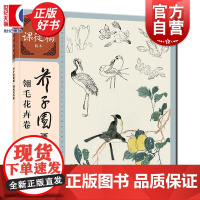 芥子园画传·翎毛花卉卷 名家课徒稿临本 李渔著徐宇峰编上海人民美术出版社艺术中国画技法学习重要入门画谱书