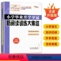 [正版]2024新版 小学语文升学夺冠新阅读训练大集结 小考基础知识运用文学常识训练课外阅读辅导书小升初考试辅导毕业升
