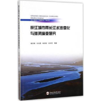 音像皖江城市带长江水沙变化与河势演变研究杨月明等著