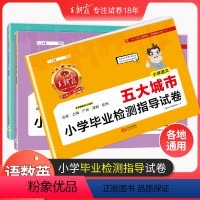 [十五大沿海城市]语文+数学+英语 小学通用 [正版]城市卷小升初五大十大十五大城市小学毕业检测指导卷真题初中招生考试语
