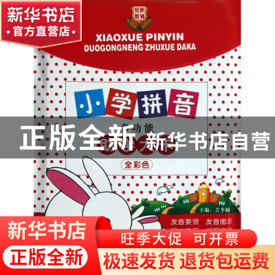 正版 小学拼音多功能助学大卡(全彩色) 吉李颖 湖南教育 97875539