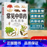 常见中草药彩色图鉴 [正版]常见中草药彩色图鉴 203种常见中草药识别与应用 通俗易懂一看就懂