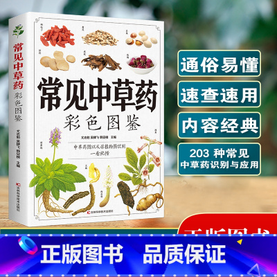 常见中草药彩色图鉴 [正版]常见中草药彩色图鉴 203种常见中草药识别与应用 通俗易懂一看就懂