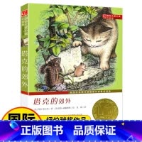 [正版]塔克的郊外 书 国际大奖小说升级版美国学校图书馆年度读物 新蕾出版社不带拼音书籍儿童文学少儿读物8-10-12