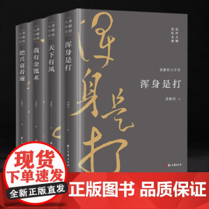 [精装全4册]龚鹏程大学堂:浑身是打+天下有风+有金篦术+把兴衰看遍 书籍