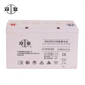 双登蓄电池 6-GFM-80 12V80Ah