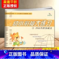 20以内的加减法 [正版]晨曦早教幼小衔接大练习拼音语言数学10/20以内横式竖式加减法混合运算解决问题幼儿园入学准备练