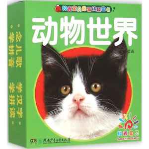 [M]阳光宝贝启蒙认知全卡-9787556214044