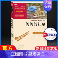 闪闪的红星-彩插励志版.南方出版社 [正版]闪闪的红星 李心田小学生红色经典书籍革命传统教育读本三四五六年级寒暑假书儿