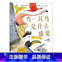 当一只鸟是什么感觉 [正版]新书 当一只鸟是什么感觉 鸟类小百科科普图书